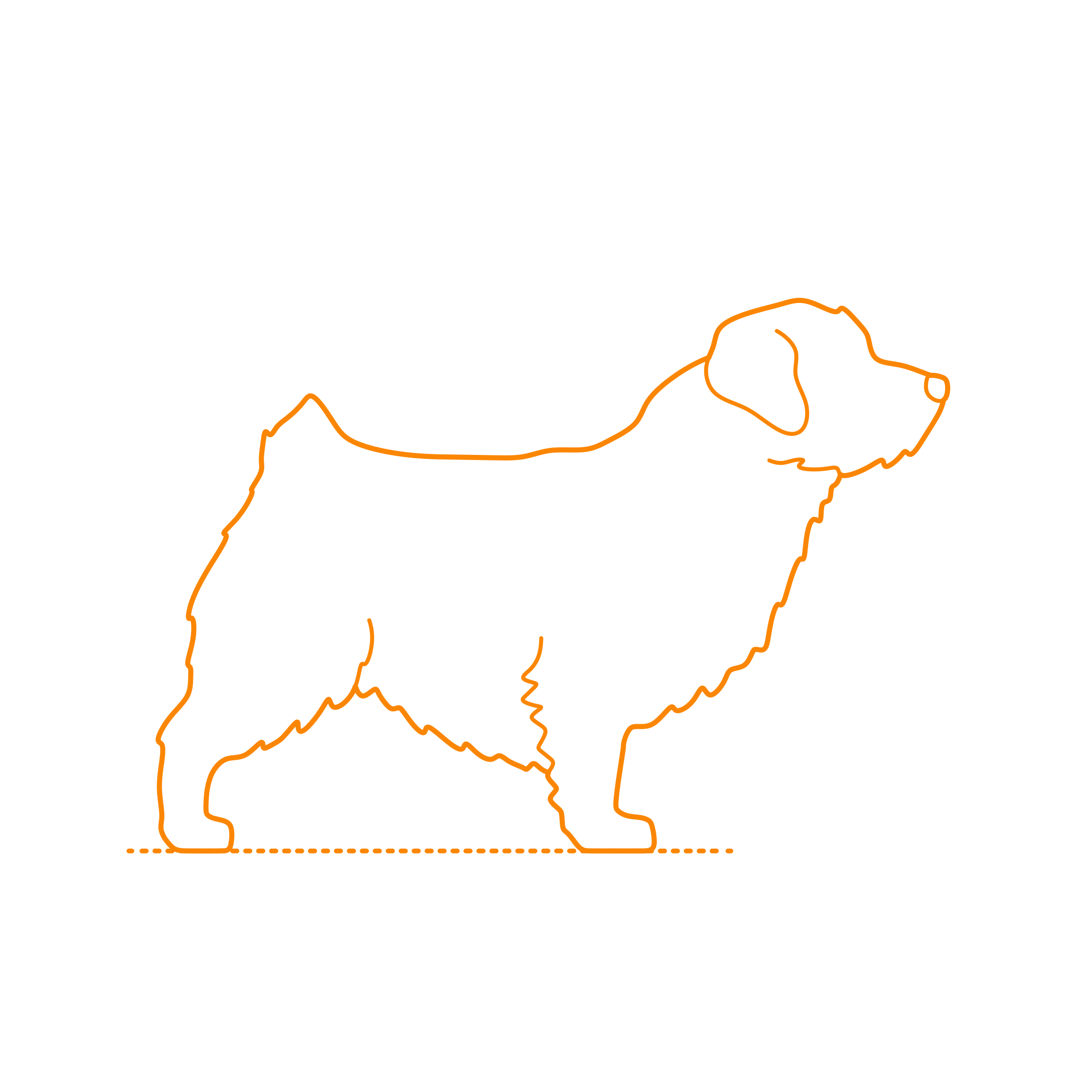 Animals Dogs Norfolk Terrier Tracing Svg Vector Free Vectors
